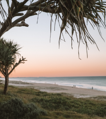 Gold Coast Beach Sunset through Pandanus Tree